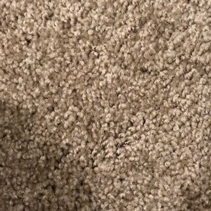 Meet your Posher, Xiao